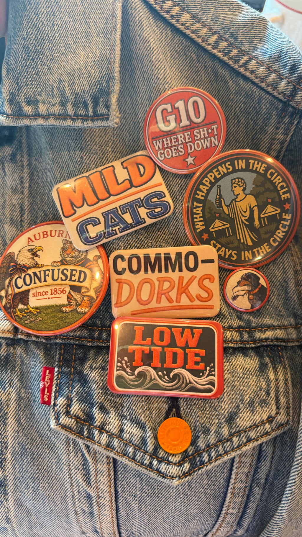 Mild Cats Pin (Kentucky)